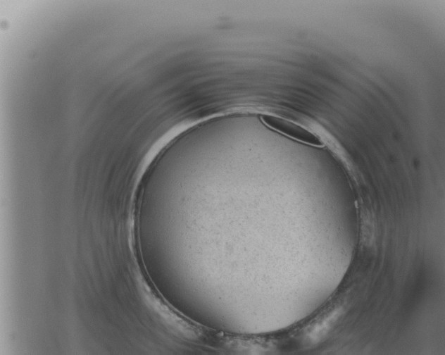 X0000062870955200601201751