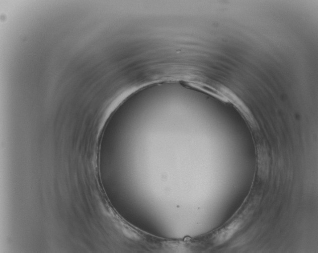 X0000062870956200601201751