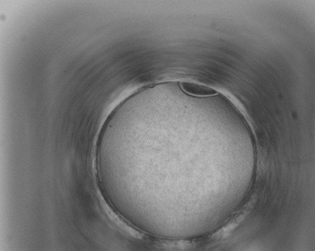 X0000062870957200601201751