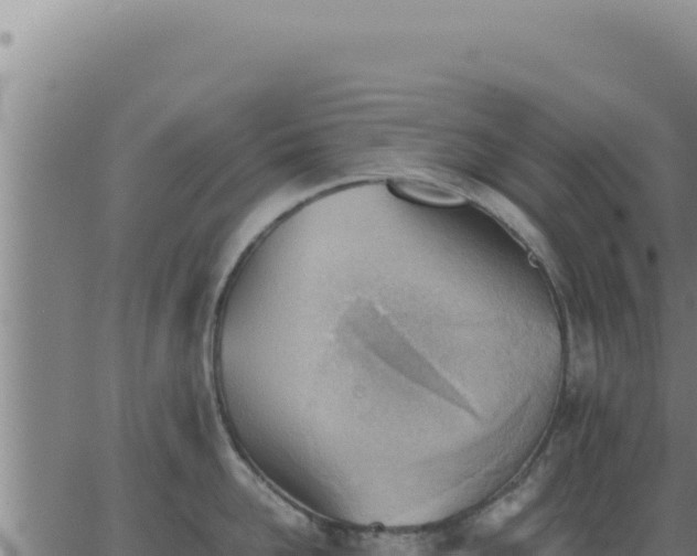 X0000062870958200601201751