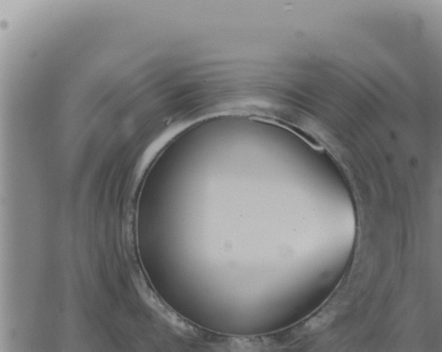 X0000062870960200601201751