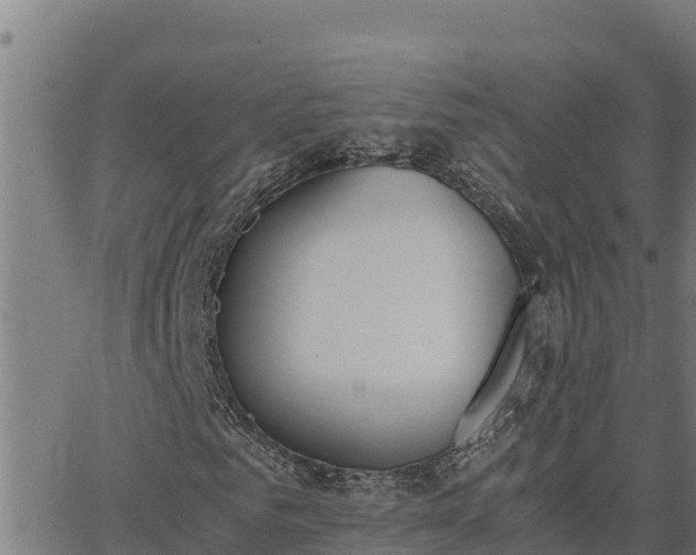 X0000062870961200601201750