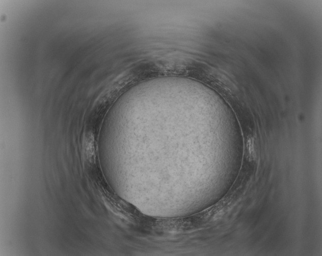 X0000062870963200601201750