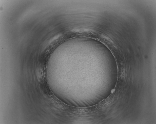 X0000062870966200601201750