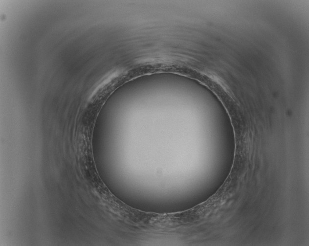 X0000062870967200601201750