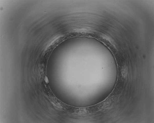 X0000062870968200601201750