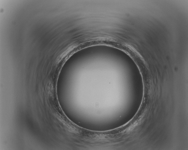 X0000062870969200601201750