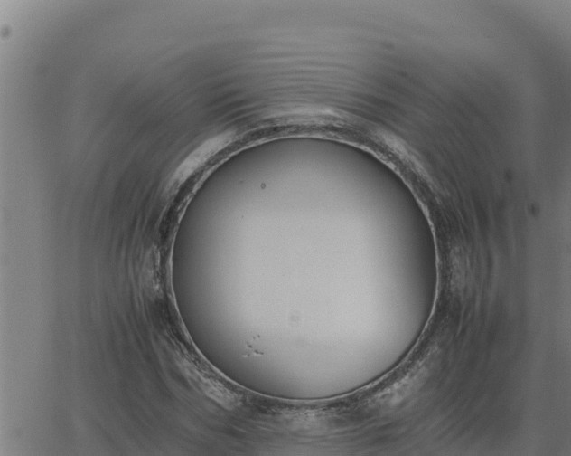 X0000062870970200601201750