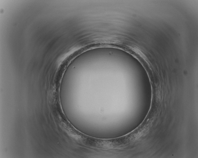 X0000062870971200601201750