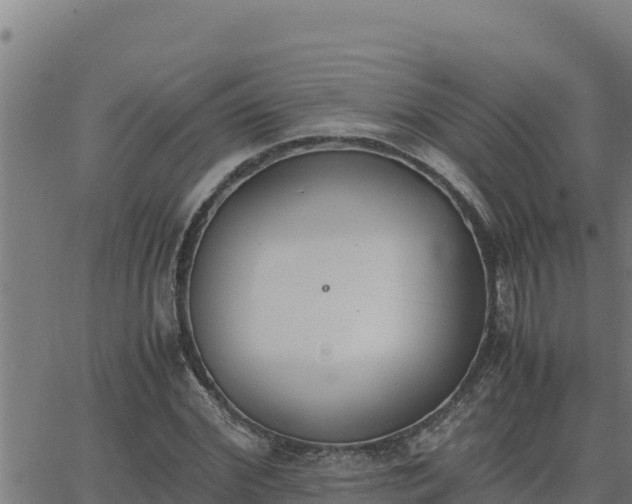 X0000062870972200601201750