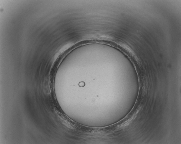 X0000062870974200601201750