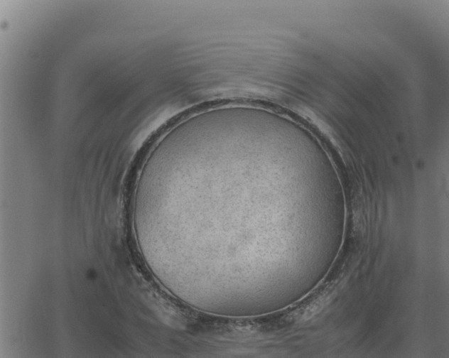 X0000062870975200601201750