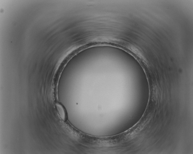 X0000062870976200601201750