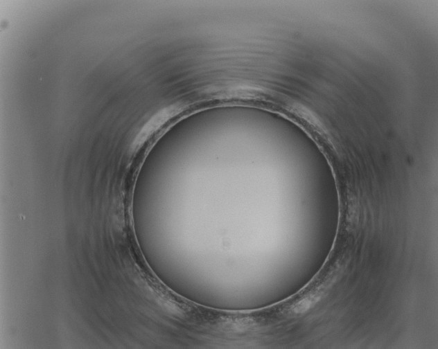 X0000062870978200601201750