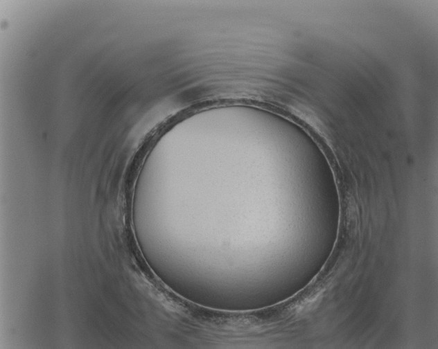 X0000062870979200601201750