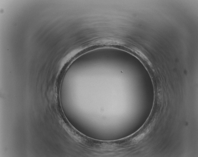 X0000062870981200601201750