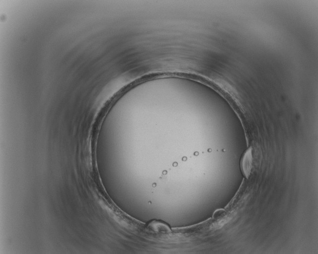 X0000062870982200601201750