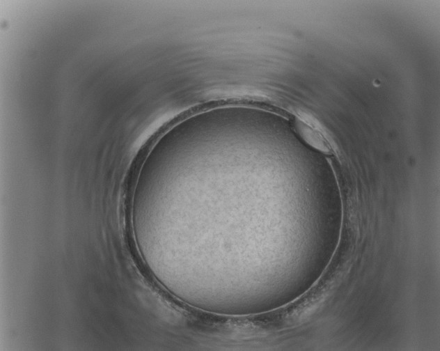 X0000062870983200601201750