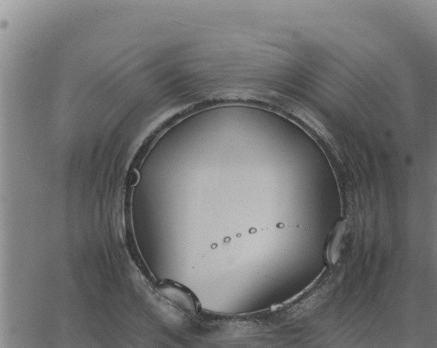 X0000062870984200601201750