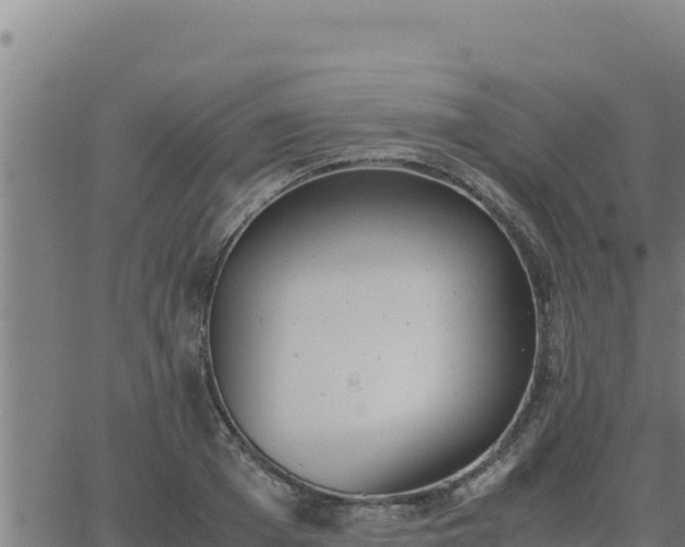 X0000062870985200601201750