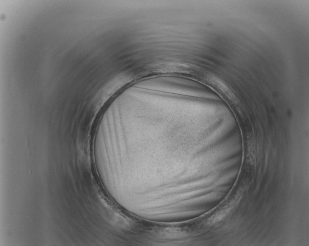 X0000062870986200601201750