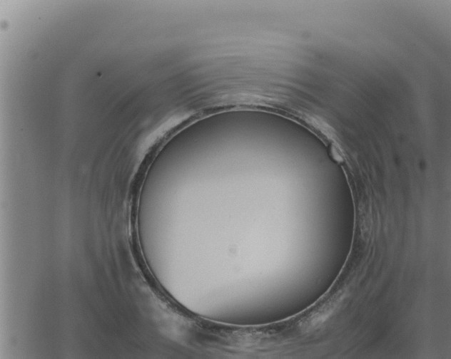 X0000062870987200601201750