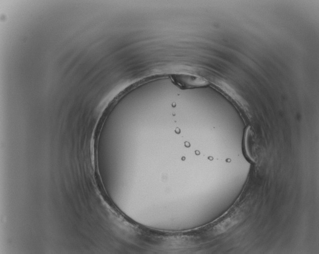 X0000062870988200601201750