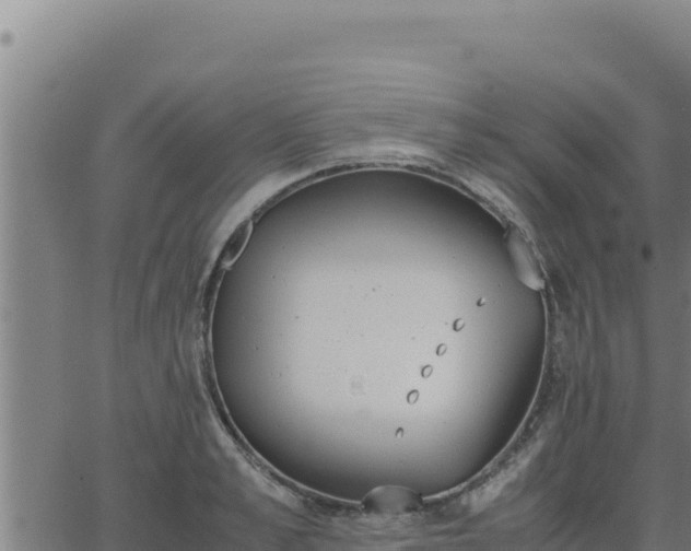 X0000062870989200601201750