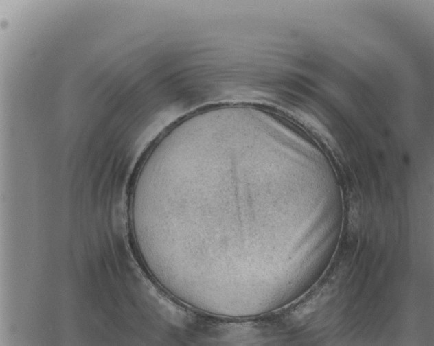 X0000062870990200601201750