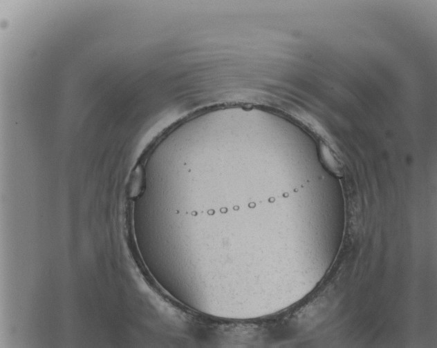 X0000062870991200601201750