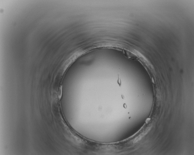 X0000062870993200601201750