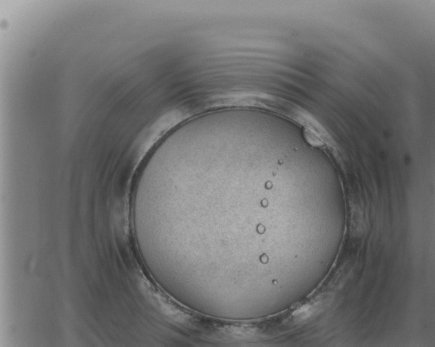 X0000062870994200601201750