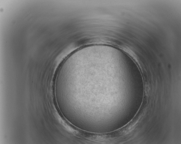 X0000062870995200601201750