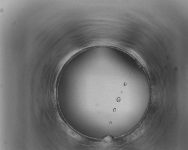 X0000062870996200601201749