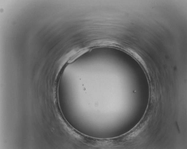 X0000062870997200601201749