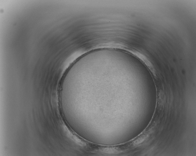 X0000062870998200601201749