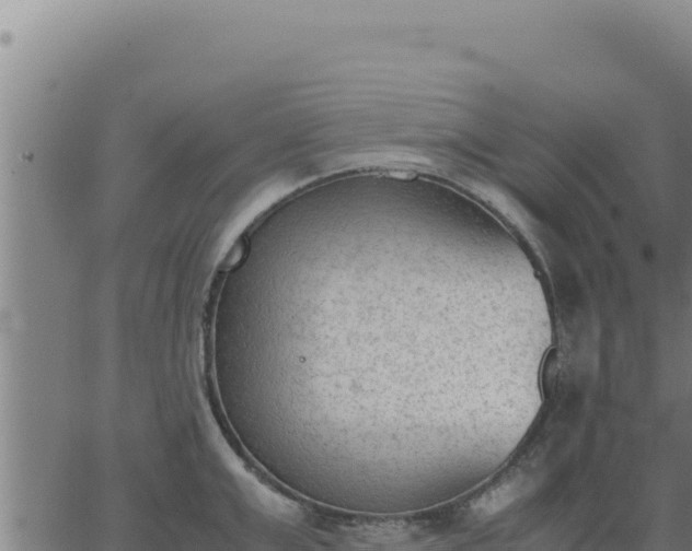 X0000062870999200601201749