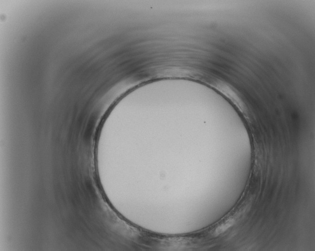 X0000062871000200601201749