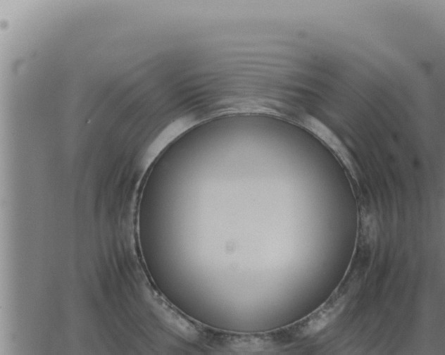 X0000062871002200601201749