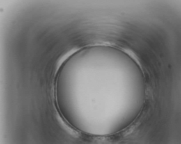 X0000062871003200601201749