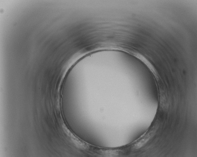 X0000062871004200601201749