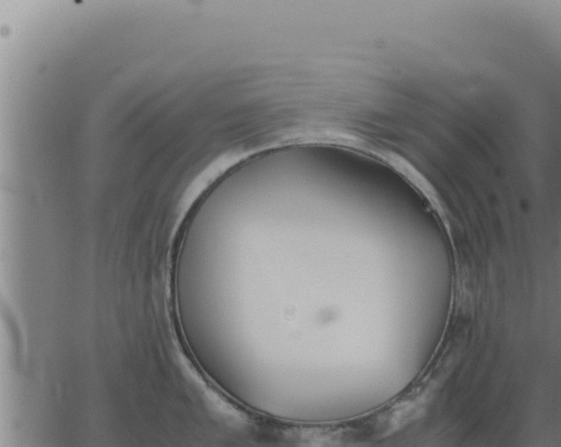 X0000062871005200601201749