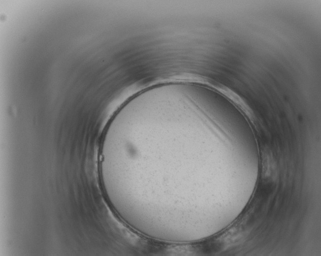 X0000062871006200601201749