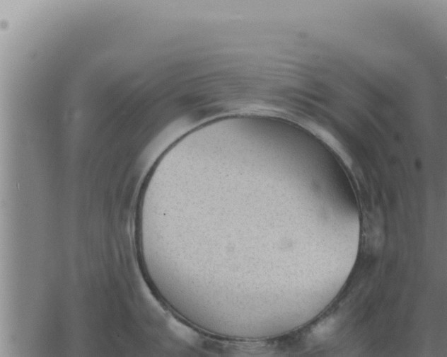 X0000062871007200601201749