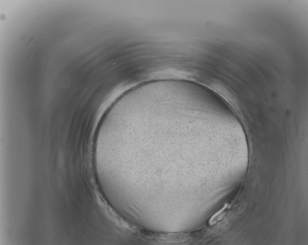 X0000062871008200601201749