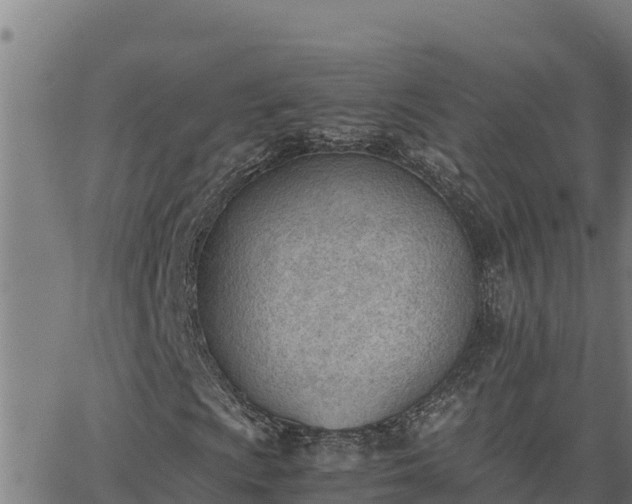 X0000062871009200601201748