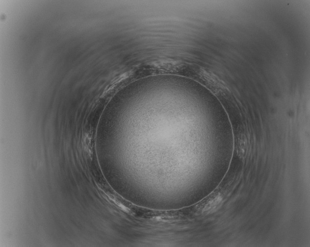 X0000062871010200601201749