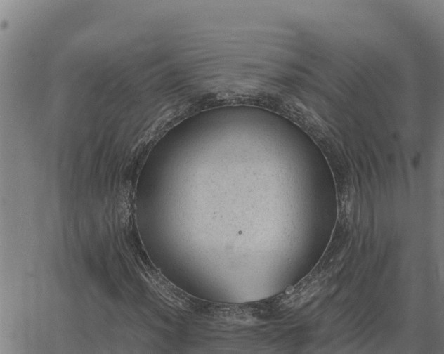 X0000062871012200601201749