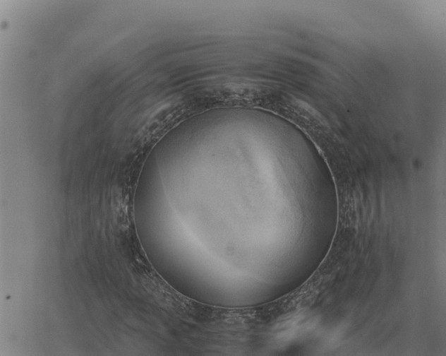 X0000062871013200601201749