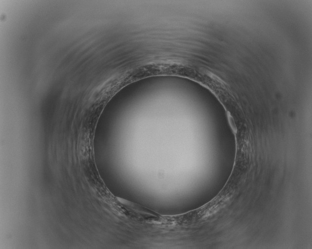 X0000062871014200601201749